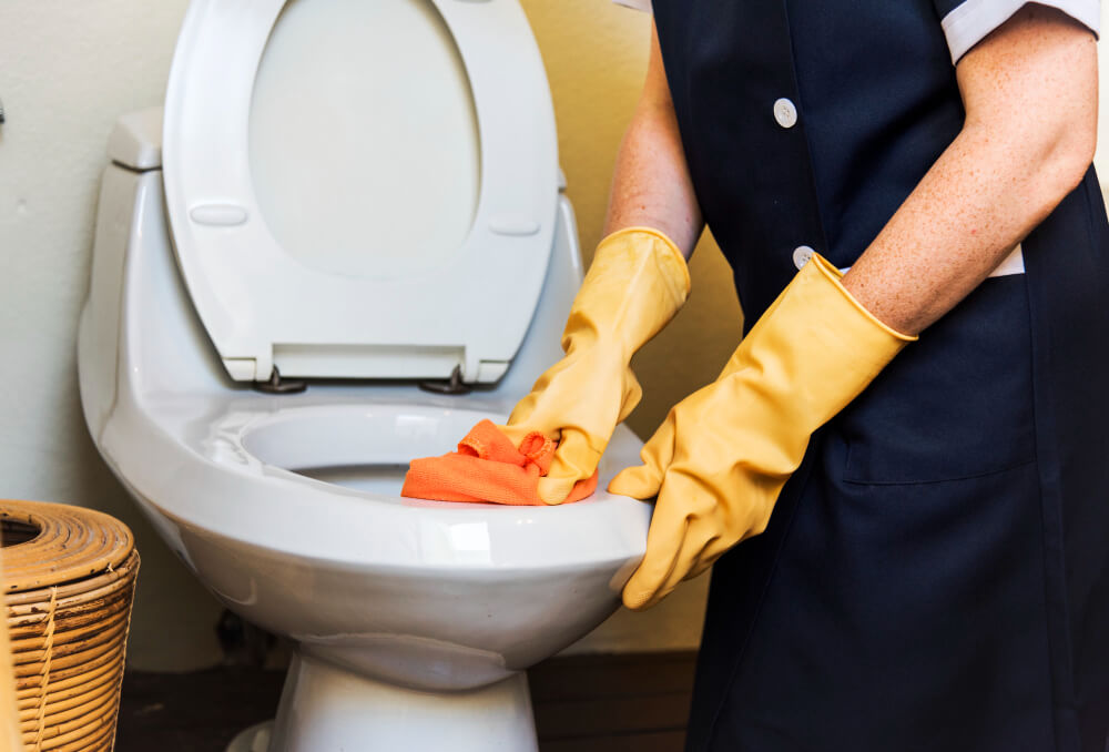 7 best methods to unclog a Toilet