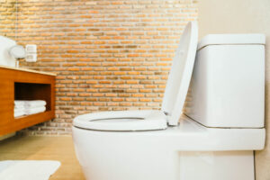 How to install a toilet Australia